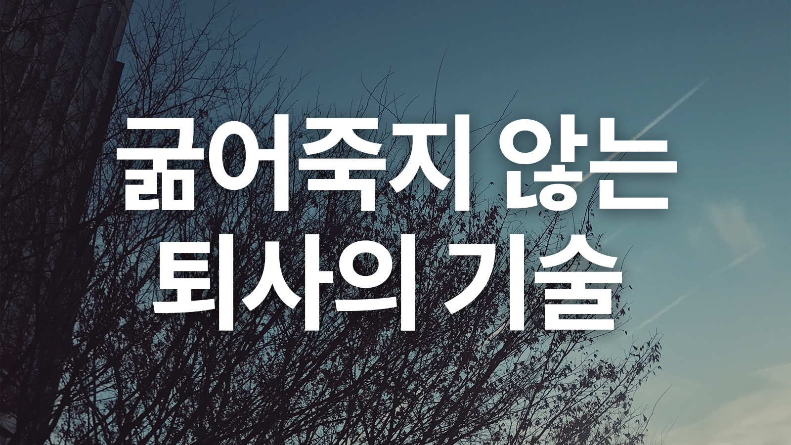 굶어죽지 않는, 퇴사의 기술